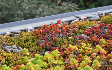 the cost of Lower Knapp green roof installation