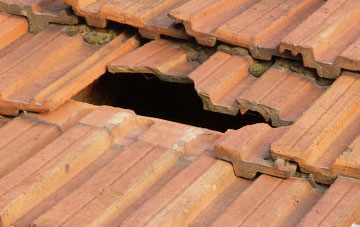 roof repair Lower Knapp, Somerset